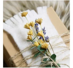 ohne Marke Trockenblumen & - Früchte><noscript><img width=