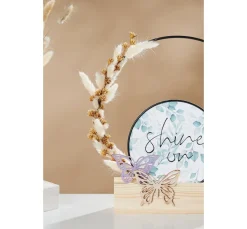 ohne Marke Trockenblumen & - Früchte><noscript><img width=