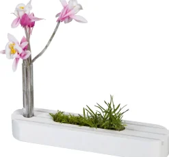 HALBACH Glas & Porzellan|Holz, Mdf & Pappmaché><noscript><img width=