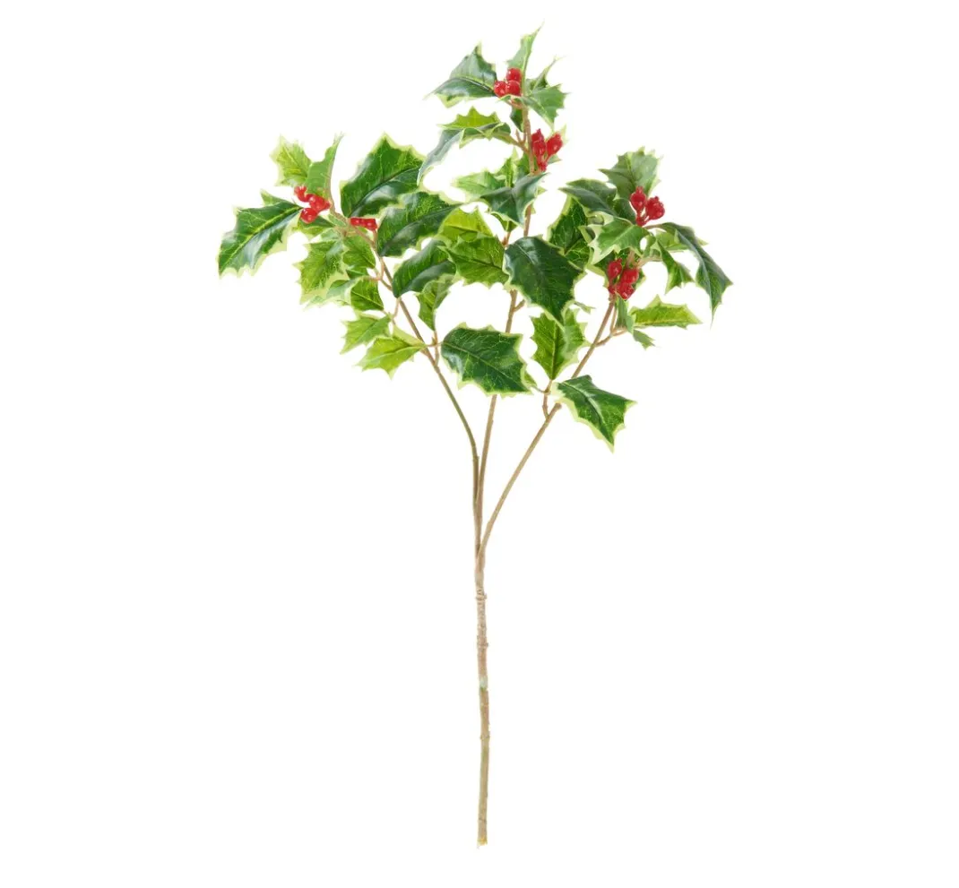 DPI Bäume & Zweige>Ilex Zweig "Green" mit Beeren, L 40 cm,