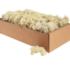 Othmar Decorations Moos|Moos>Islandmoos, 400 g