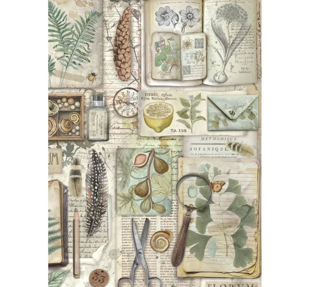Stamperia Scrapbooking|Papier-Bastelsets>Junk Journal Book "Herbarium Silvae"