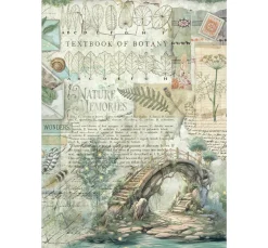 Stamperia Scrapbooking|Papier-Bastelsets><noscript><img width=