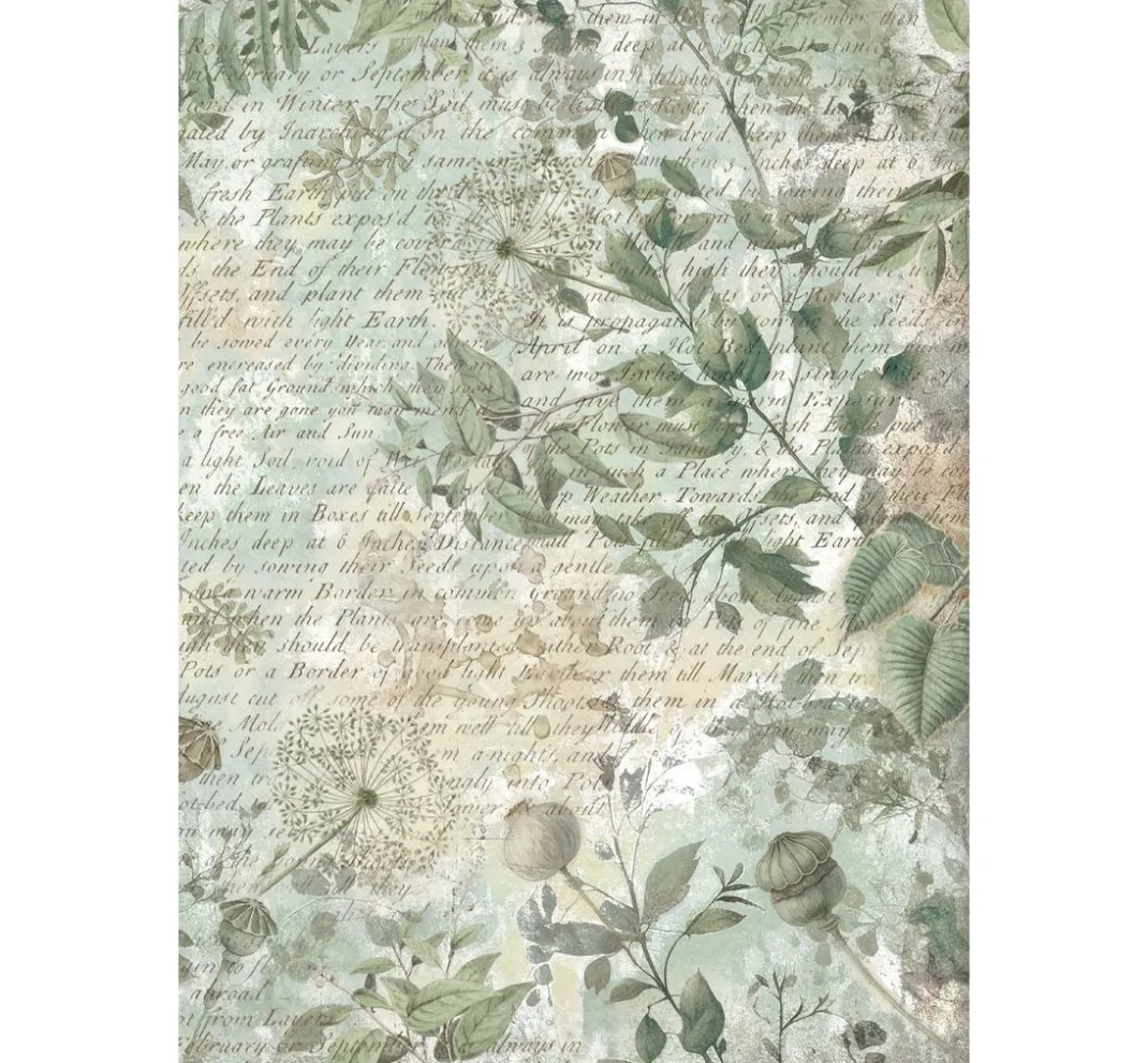 Stamperia Scrapbooking|Papier-Bastelsets>Junk Journal Book "Herbarium Silvae"