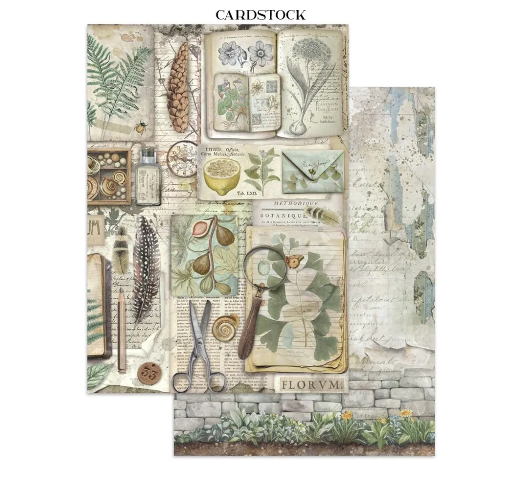 Stamperia Scrapbooking|Papier-Bastelsets>Junk Journal Book "Herbarium Silvae"