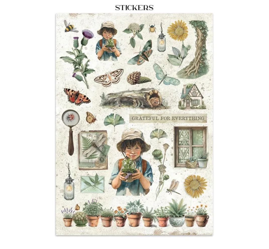 Stamperia Scrapbooking|Papier-Bastelsets>Junk Journal Book "Herbarium Silvae"