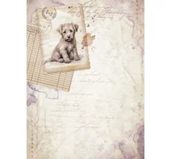 Stamperia Scrapbooking|Papier-Bastelsets><noscript><img width=