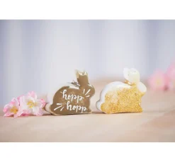 HobbyFun Gießmasse><noscript><img width=