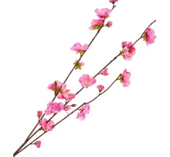 DPI Blumen>Kirschblüten Zweig