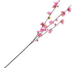 DPI Blumen>Kirschblüten Zweig