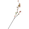 DPI Blumen|Bäume & Zweige>Kirschblüten-Zweig "Peach"