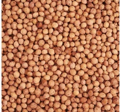 VBS Füllmaterial>Kirschkerne 500g