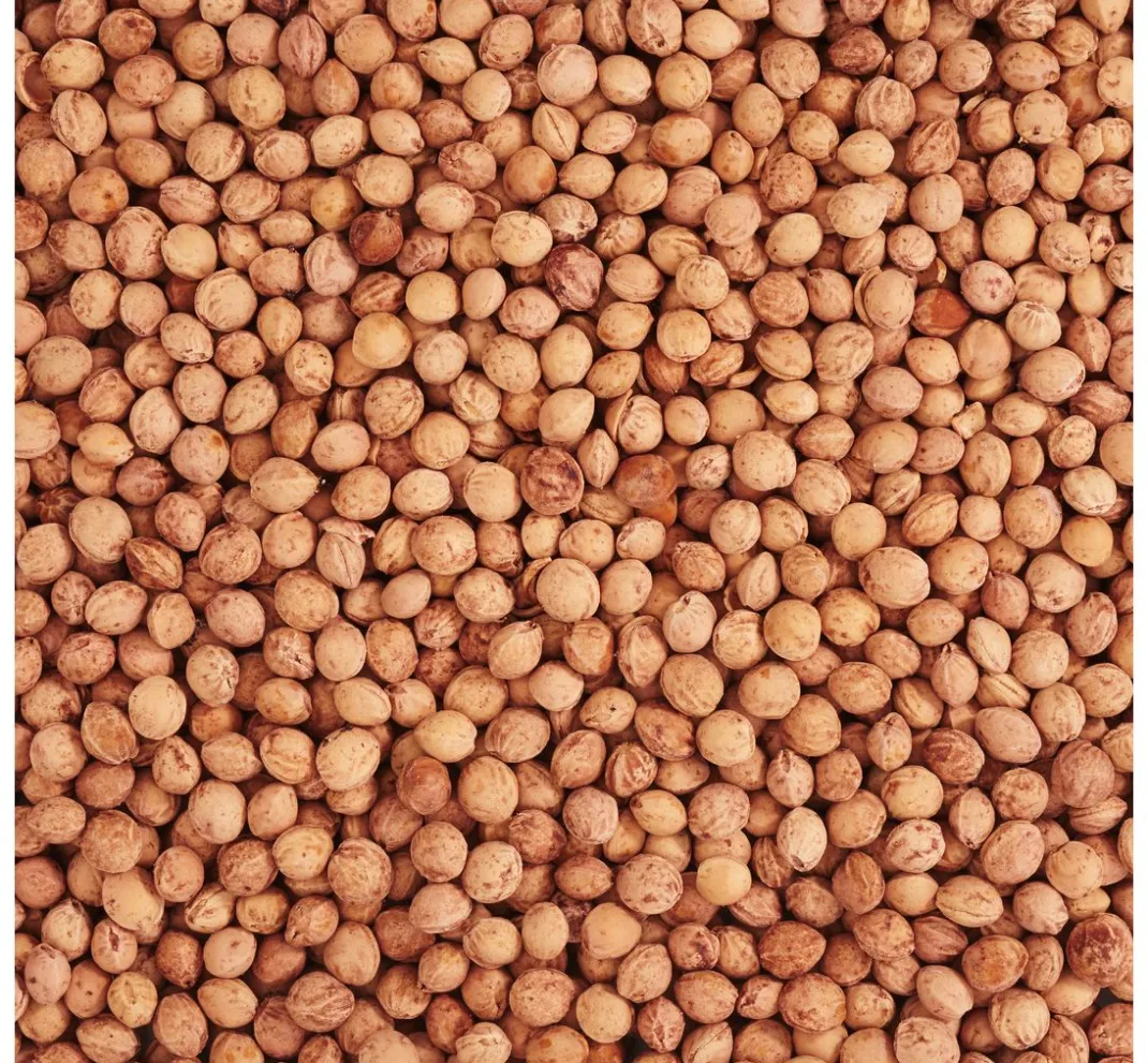VBS Füllmaterial>Kirschkerne 500g