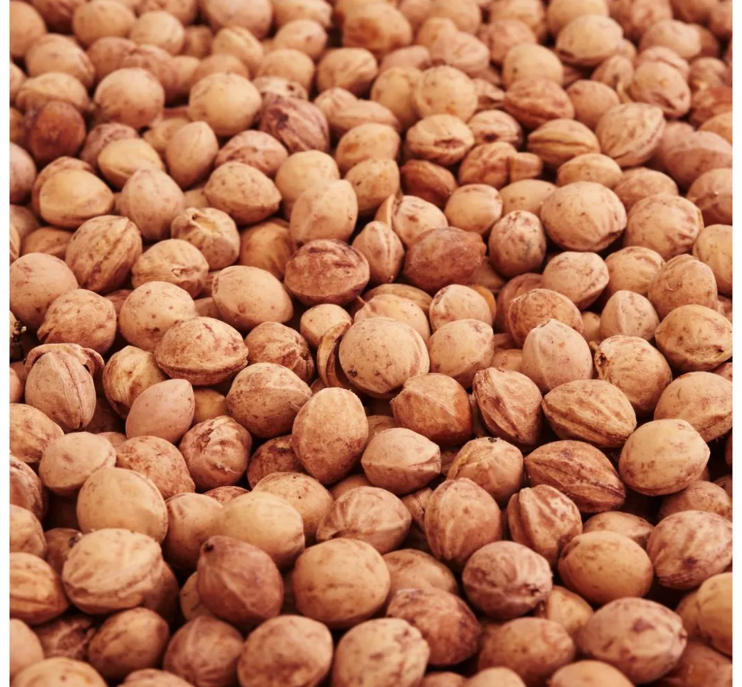 VBS Füllmaterial>Kirschkerne 500g