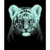Kinder Mammut Kratzbilder|Kratzbilder>Kratzbild "Tigerbaby"