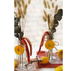 VBS Trockenblumen & - Früchte><noscript><img width=