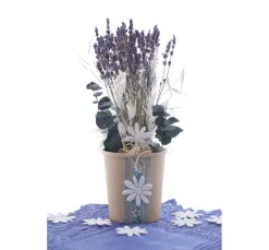 VBS Trockenblumen & - Früchte><noscript><img width=