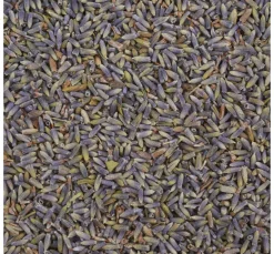 VBS Naturmaterialien|Füllmaterial>Lavendelblüten