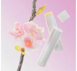 GLOREX Naturkosmetik><noscript><img width=