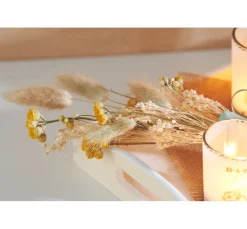 ohne Marke Trockenblumen & - Früchte><noscript><img width=