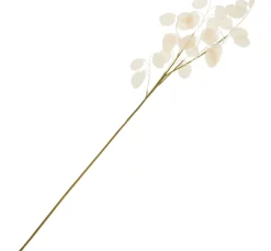 DPI Bäume & Zweige>Lunaria Zweig