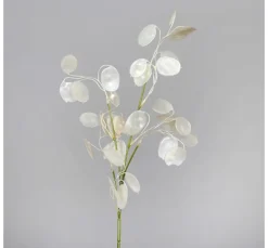 DPI Bäume & Zweige>Lunaria Zweig