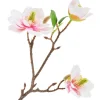 DPI Blumen>Magnolien-Pick mit 3 Blüten