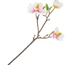 DPI Blumen>Magnolien-Pick mit 3 Blüten