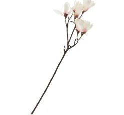 DPI Blumen>Magnolien-Pick mit 6 Blüten
