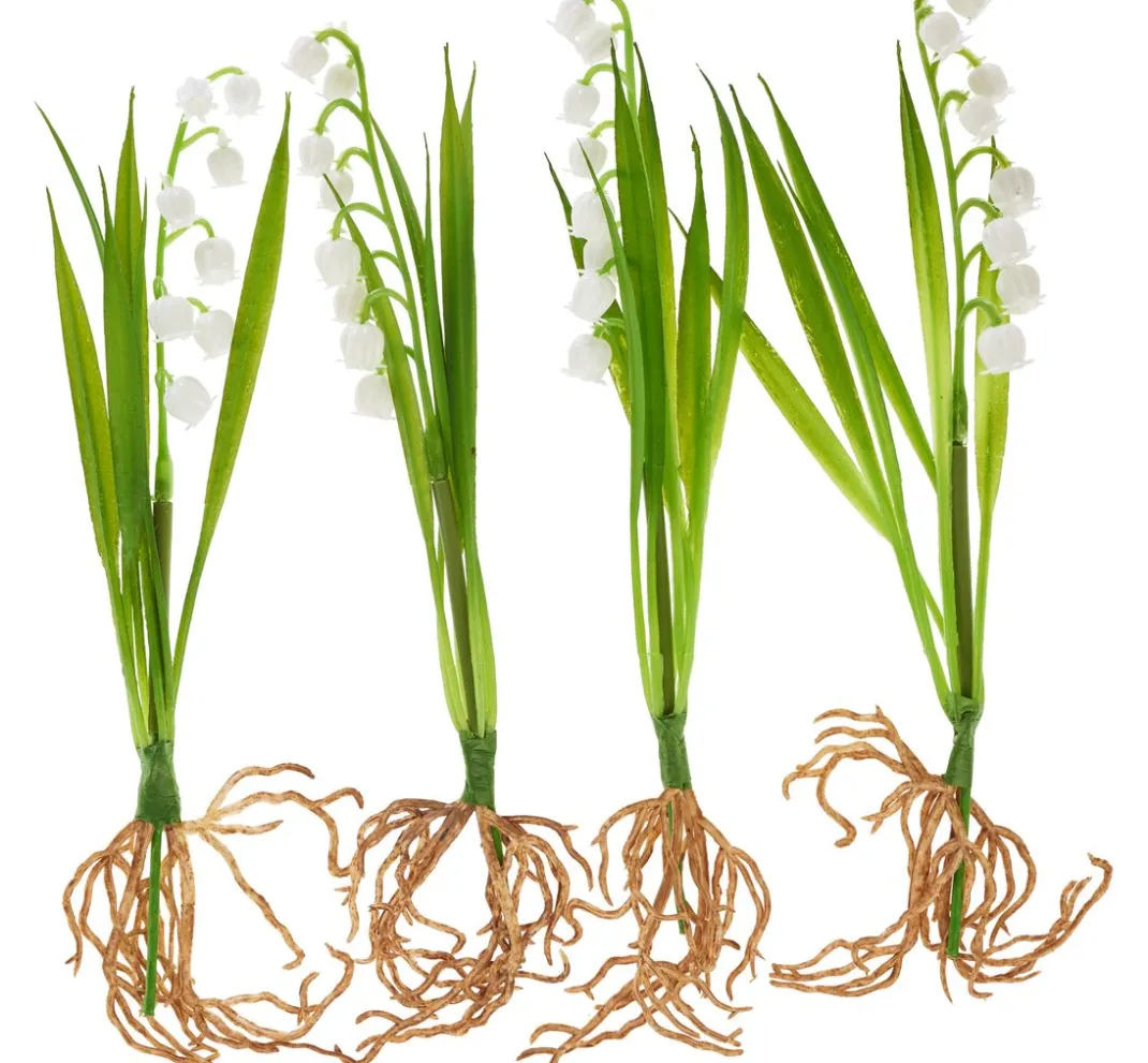 DPI Blumen>Maiglöckchen mit Wurzeln