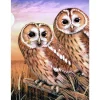 Kinder Royal Langnickel Malsets|Malen Nach Zahlen>Malen nach Zahlen "Tawny Owls", 22 x 30 cm