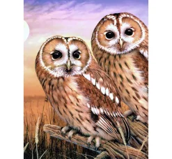 Kinder Royal Langnickel Malsets|Malen Nach Zahlen>Malen nach Zahlen "Tawny Owls", 22 x 30 cm