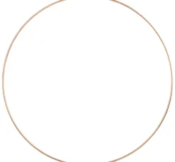 HobbyFun Trockenblumen & - Früchte|Diverse Materialien><noscript><img width=
