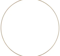 HobbyFun Trockenblumen & - Früchte|Diverse Materialien><noscript><img width=