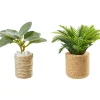 HobbyFun Miniaturen>Miniatur-Set "Zimmerpflanzen"