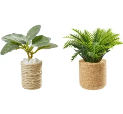HobbyFun Miniaturen>Miniatur-Set "Zimmerpflanzen"