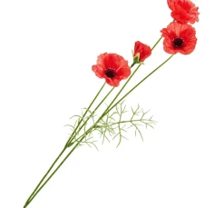 DPI Blumen>Mohn-Pick mit 4 Blüten