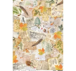 Ciao Bella Decoupage|Seidenpapier & Strohseide>Motiv-Strohseide "Herbststimmung"
