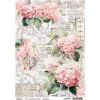 Ciao Bella Decoupage|Seidenpapier & Strohseide>Motiv-Strohseide "Hortensien"