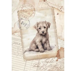 Stamperia Decoupage|Seidenpapier & Strohseide><noscript><img width=