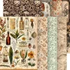 Ciao Bella Decoupage|Seidenpapier & Strohseide>Motiv-Strohseiden Sortiment "Schönheiten der Natur"
