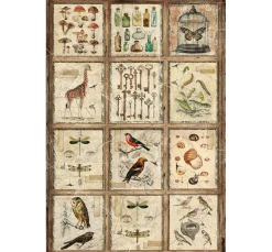 Ciao Bella Decoupage|Seidenpapier & Strohseide><noscript><img width=