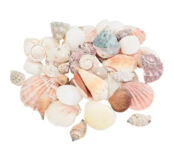 Eurosand Muscheln & Treibholz>Muschel-Mix "Natur"