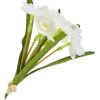 DPI Blumen>Narzissen Bund