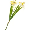DPI Blumen>Narzissen-Bund "Yellow / White"