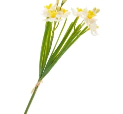 DPI Blumen>Narzissen-Bund "Yellow / White"