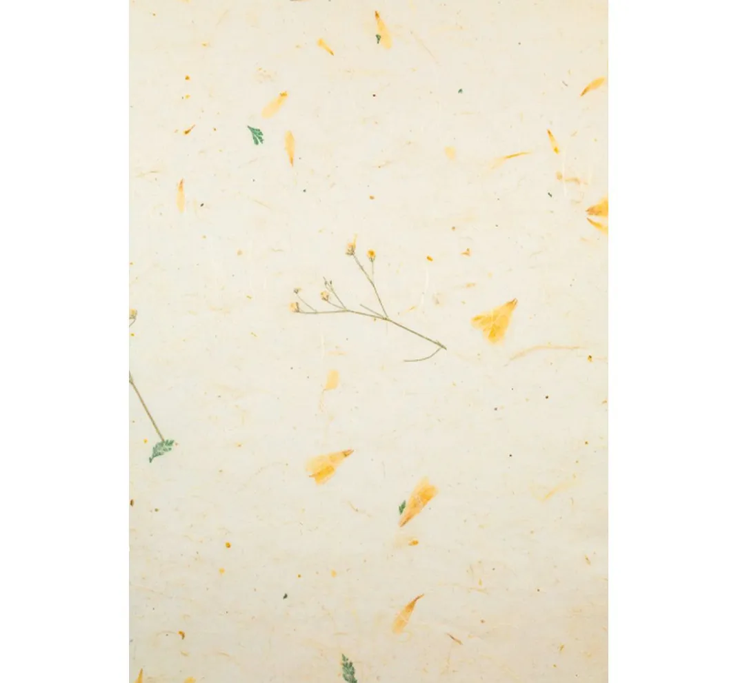URSUS Spezialpapier & -Karton|Kraftpapier & -Karton>Naturpapiere "Daisy"