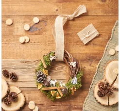 VBS Trockenblumen & - Früchte|Naturmaterialien>Orangenscheiben