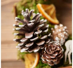 VBS Trockenblumen & - Früchte|Naturmaterialien><noscript><img width=