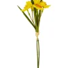DPI Blumen>Osterglocke Einzelstiel